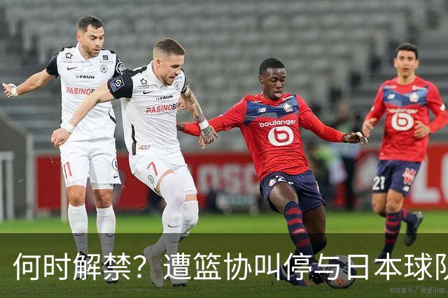 何时解禁？遭篮协叫停与日本球队签约后，赵柏清沦落打野球谋生
