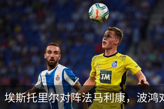 埃斯托里尔对阵法马利康，波鸿对阵柏林赫塔，坎布尔对阵SBV精英，葡超德乙荷甲的足球联赛分析