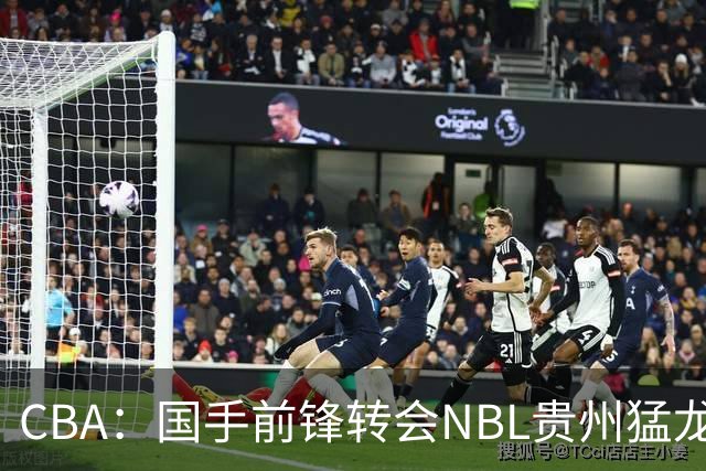 CBA：国手前锋转会NBL贵州猛龙，王少杰前往江苏男篮，吉林大将签约宁波，胡金秋预计留队