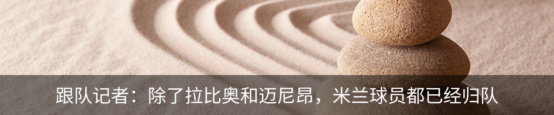 最新动态